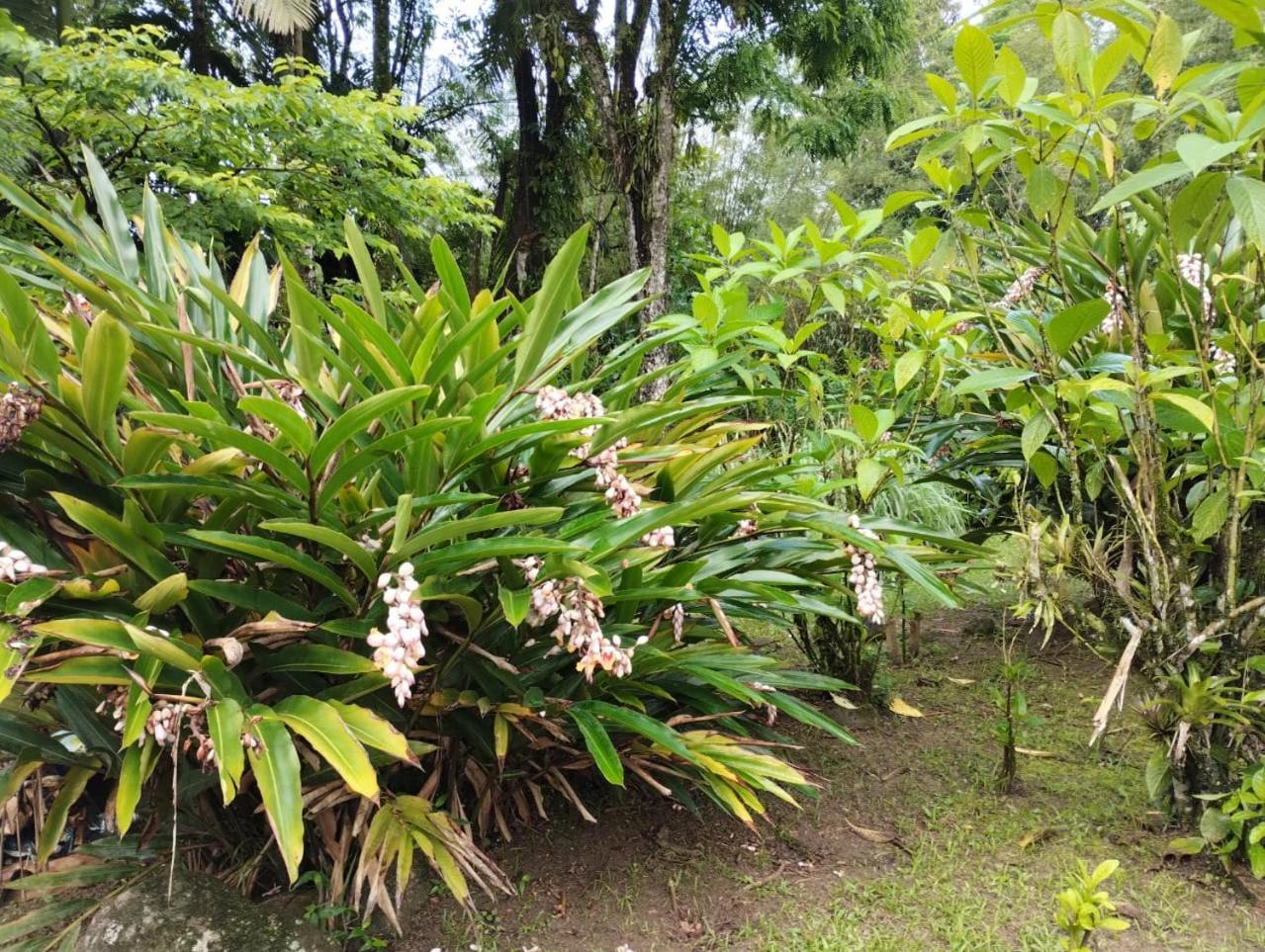 Pousada Morretes Arraial المظهر الخارجي الصورة