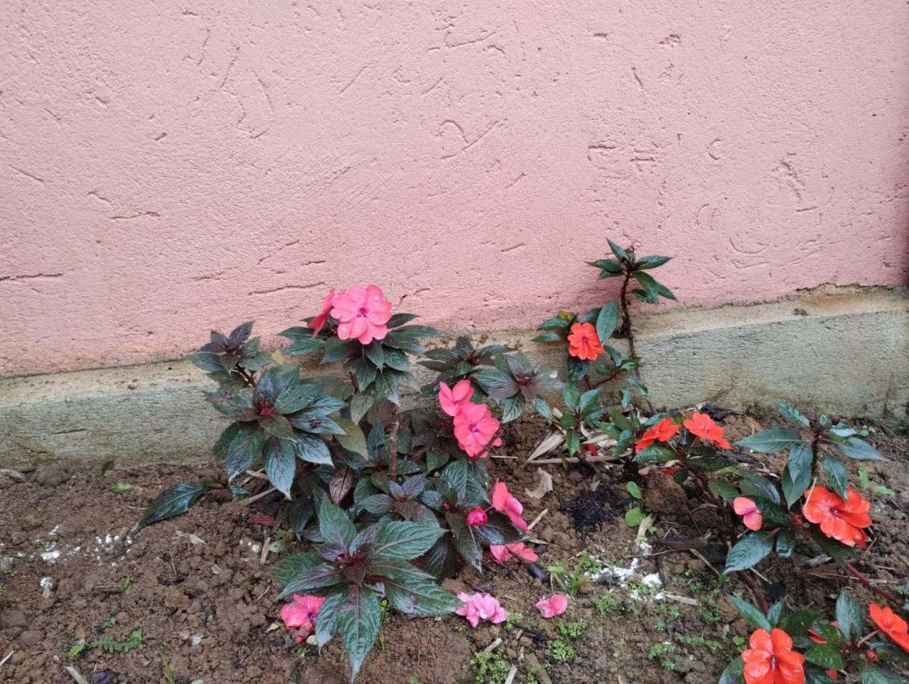 Pousada Morretes Arraial المظهر الخارجي الصورة