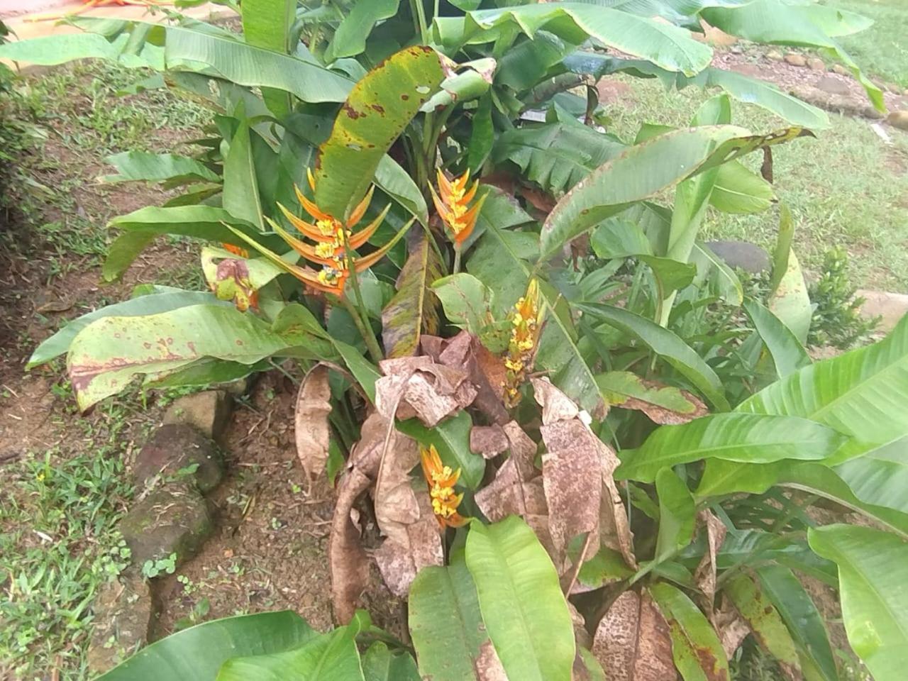 Pousada Morretes Arraial المظهر الخارجي الصورة